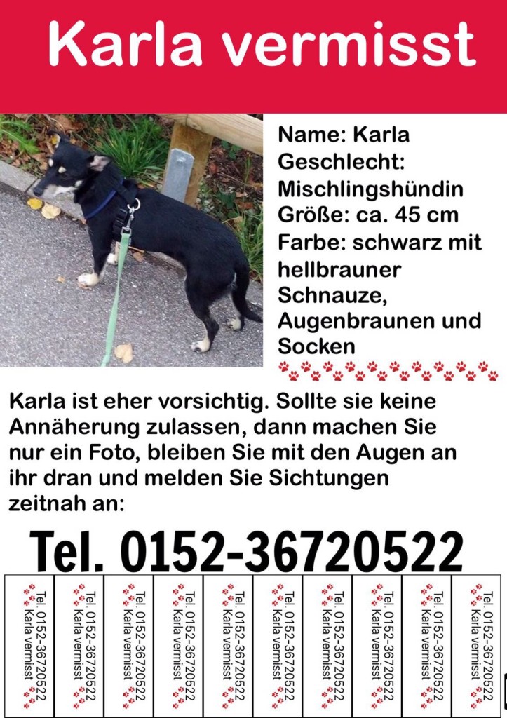 Karla vermisst in 72213 AltensteigBerneck Hund entlaufen in Baden